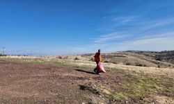Elazığ Belediyesi sokak hayvanlarını unutmadı