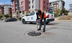Elazığ'da larvayla mücadele devam ediyor