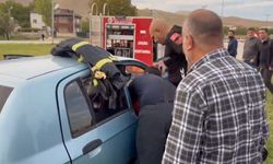 Elazığ'da trafik kazası: 2 kişi yaralandı