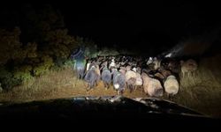 Elazığ'da zorlu kurtarma operasyonu: Çoban ve 200 hayvan kurtarıldı