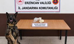 Erzincan'da bonzai hammaddesi ve skunk yakalandı