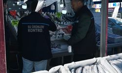 Erzurum'da balık satış noktalarına sıkı denetim yapıldı