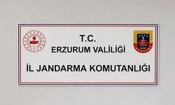 Erzurum’da siber suç operasyonu: 25 şüpheli hakkında adli işlem