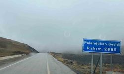 Erzurum'un yüksek kesimlerinde kar yağışı ve yoğun sis etkisini gösteriyor