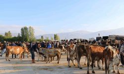 Hayvan yetiştiricilerine şap hastalığına karşı aşı çağrısı