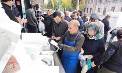 Kars'ta palamut fiyatı şaşırttı: Tanesi 50 liradan satıldı