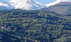 Posof'ta doğa üç renge büründü