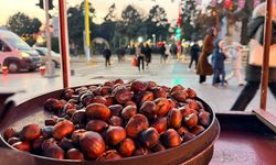 Soğuklar gelmeden kestane tezgahlarda yerini aldı