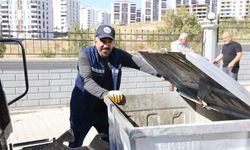 Temizlik yaparken bulduğu çantadan 600 bin liralık servet çıktı