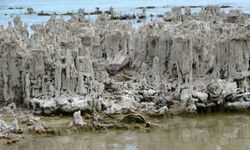 Van Gölü 35 yılda 31 kilometrekare küçüldü mü?