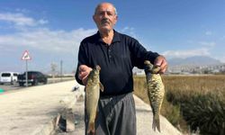 Van Gölü’nde amatör balıkçılar av peşinde