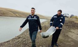 Van’ın balıkçılık ekonomisi büyüyor: Yıllık 25 milyon dolarlık katkı