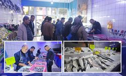 Ahlat’ta soğuk havalarla birlikte balık satışları arttı