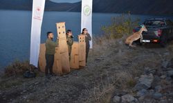 Bitlis’te yaban hayvanları yeniden doğal yaşam alanlarına bırakıldı