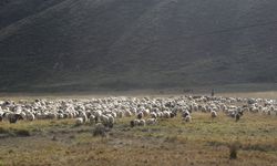 Göçerlerin Siirt’e dönüş yolculuğu başladı