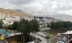 Bitlis’te yağışlı hava etkili oluyor