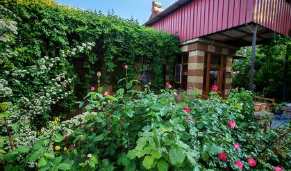 Baharın renkleriyle Ahlat!