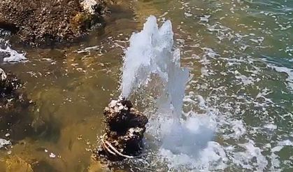 Mikrobiyalitten tatlı su fışkırdı