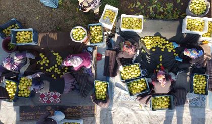 Tarım-ÜFE yıllık yüzde 40,10 arttı