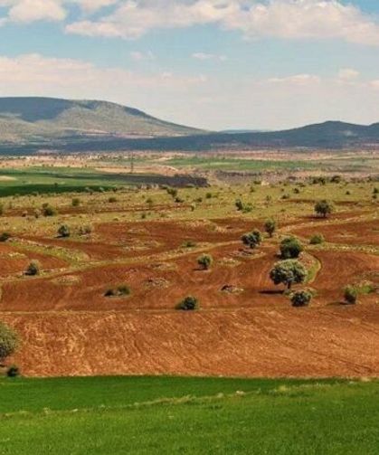 Türkiye'de arsa alanların en çok para kazandığı şehirler hangisi