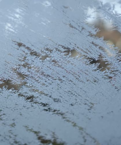 Bitlis’te kar yerini dona bıraktı: Vatandaşlar zirai don endişesi yaşıyor