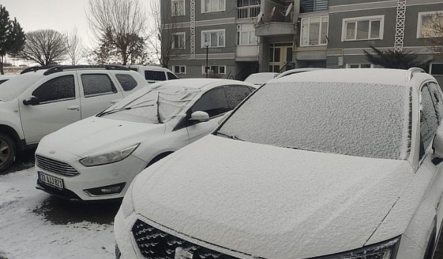 Ahlat'ta aşırı soğuklar etkili oldu