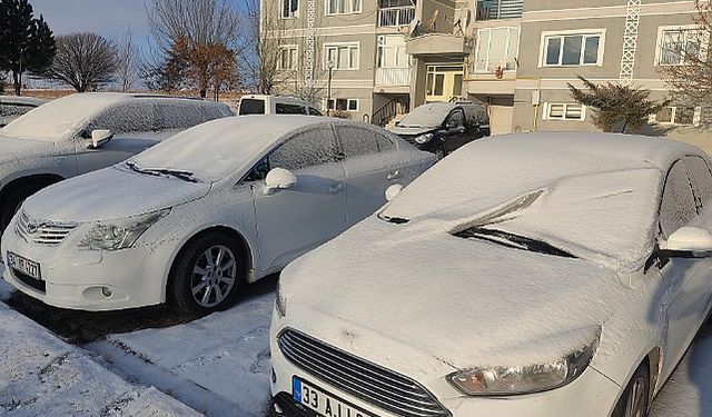 Ahlat'ta kar ve soğuk hava etkili oldu