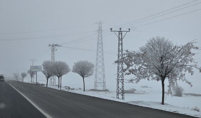 Rahva’da kırağı tutan ağaçlar güzel görüntüler oluşturdu