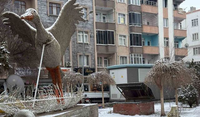 Iğdır şehir merkezine mevsimin ve yılın ilk karı yağdı