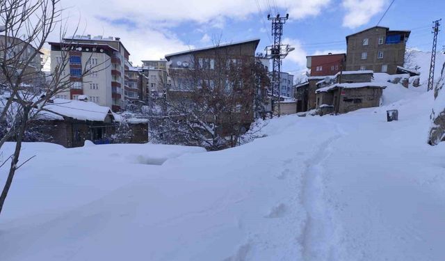 Hakkari’de 18 köy ve 64 mezra yolu ulaşıma kapandı