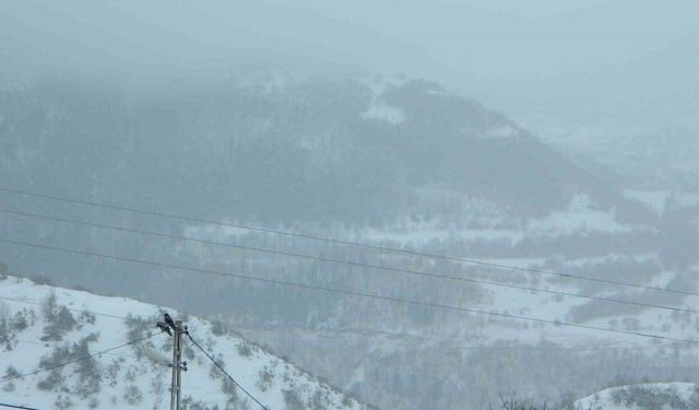 Posof güne karla uyandı