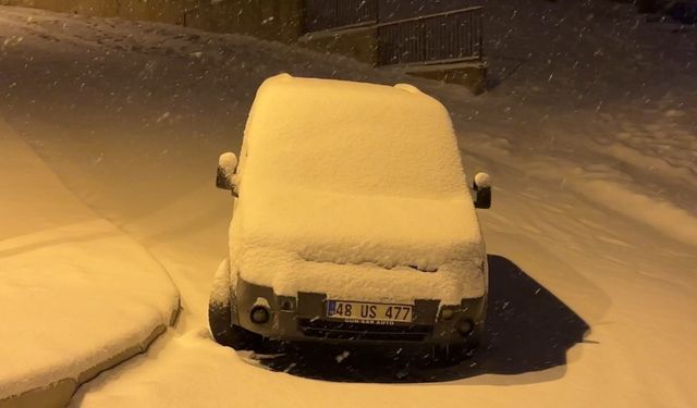 Yüksekova’da lapa lapa kar yağışı