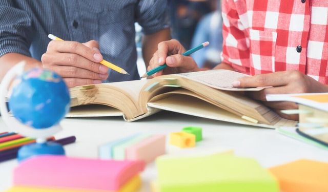 Tatvan’da MEB onaylı Kürtçe kursu açılıyor