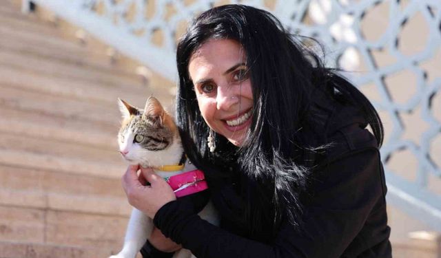 2500 Km'lik Kedi Aşkı: Tekir İçin Romanya'dan Elazığ'a!