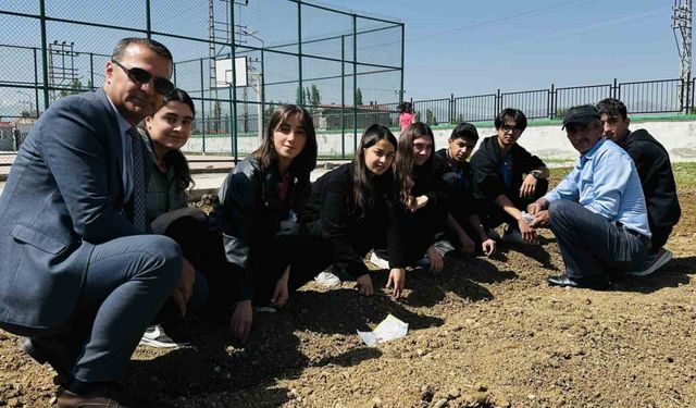 Yüksekova’da öğrenciler kendi sebzelerini yetiştiriyor