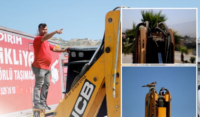 Merhamet olunca..!  Operatör 17 gündür işi durdurdu