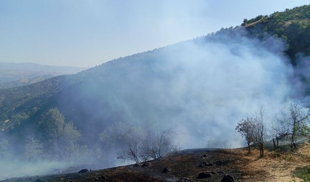 Hizan’da yangın korkuttu