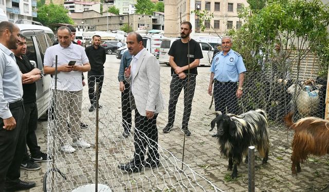 Başkan Şam, kurban satış yerlerini denetledi