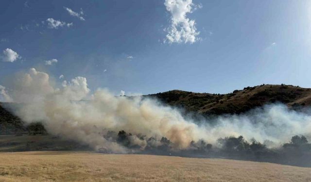 Buğday tarlasında çıkan yangın büyümeden söndürüldü