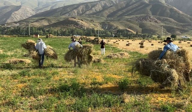 Kızgın güneş altında ekmek mücadelesi
