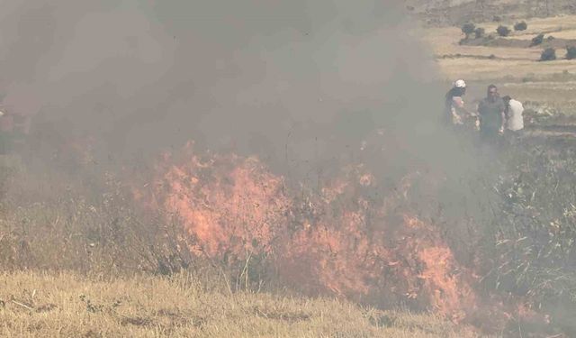 Tatvan’daki yangına hızlı müdahale: Tarla sahibi tesadüfen fark etti