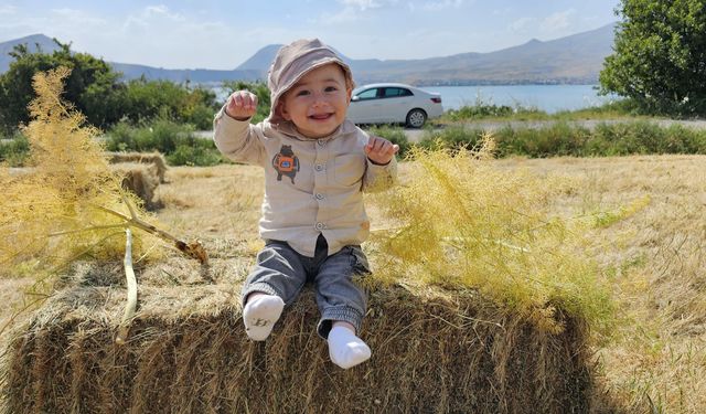 Tatvan’da Balya Otlar Doğal Çekim Platosuna Dönüştü