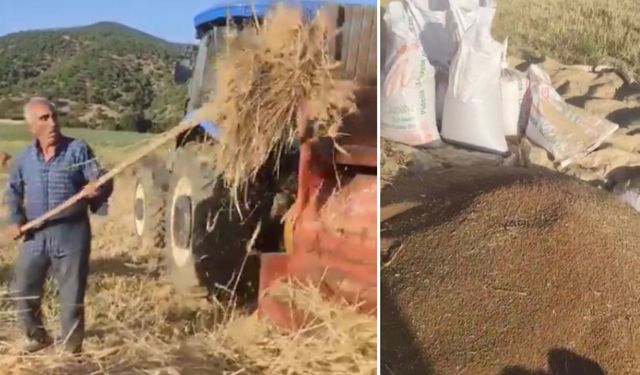 Hizan’da buğday hasadı başladı: Emek emek harman zamanı