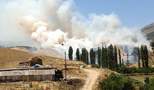 Hizan’da ormanlık alanda yangın