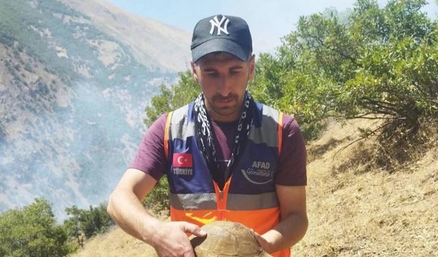 AFAD gönüllüsü yangın bölgesindeki kaplumbağayı kurtardı