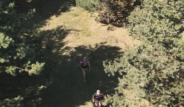 Ardahan’da jandarma ekipleri ormanlık alanlarda denetimlerini sıklaştırdı