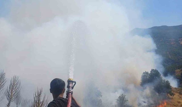 Bingöl’de kırsal alanda çıkan yangın söndürüldü