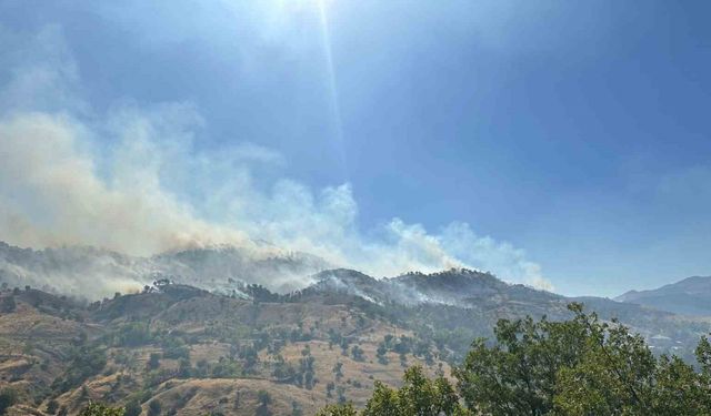 Bingöl’deki orman yangını kontrol altına alındı