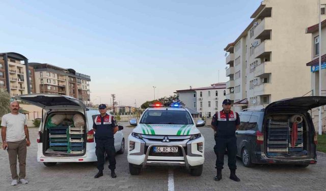 Doğubayazıt’ta kaçak kurbağa avcılığına jandarma operasyonu