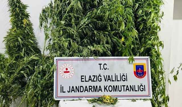 Elazığ’da uyuşturucuyla mücadele